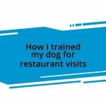 How I trained my dog for restaurant visits